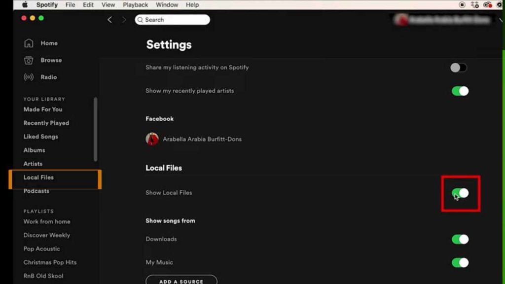 select local files option in spotify